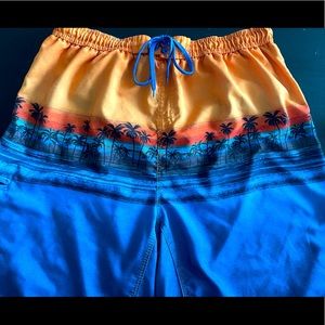 Burnside tropical blue swim shorts🌴